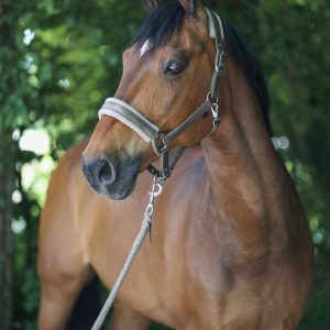 Cavalliero kötőfék COB avocado 3224432