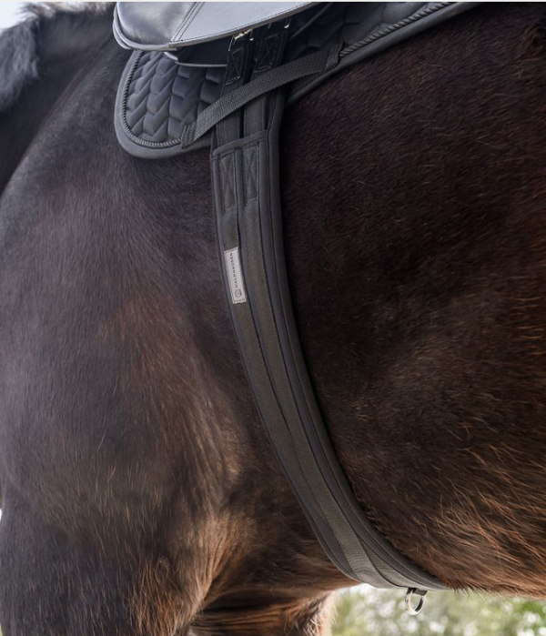 Memóriahabos heveder Waldhausen - Image 2