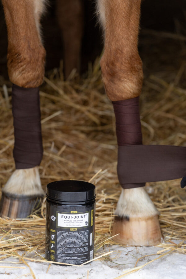 QUEBECK EQUI-JOINT Komplex Ízületvédő Lovaknak 800g - Image 4