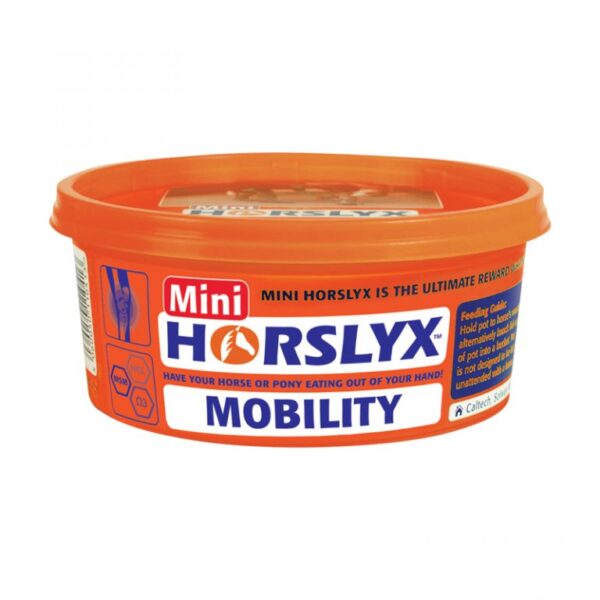 Horslyx Mini Balancer Mobility 650g