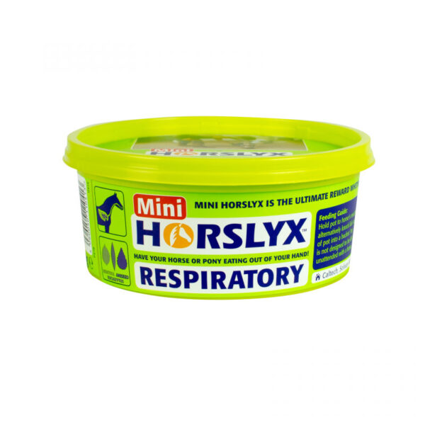 Horslyx Mini Balancer Respiratory 650g
