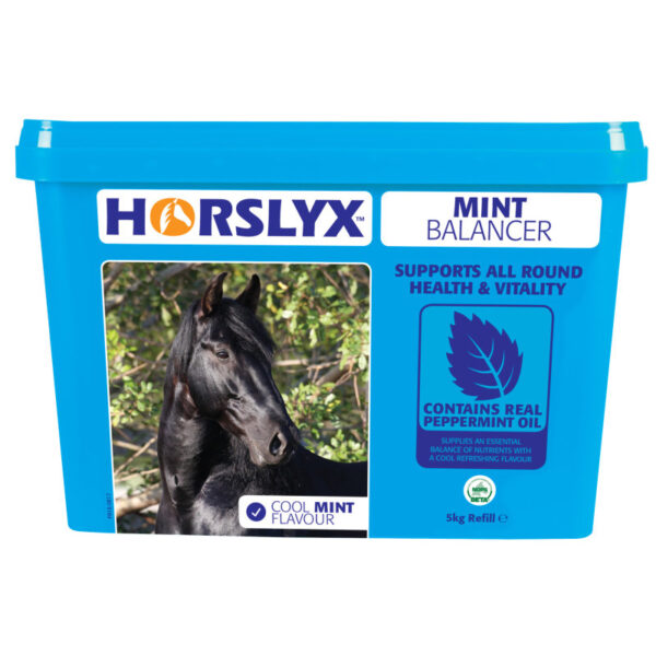Horslyx Mint 5kg