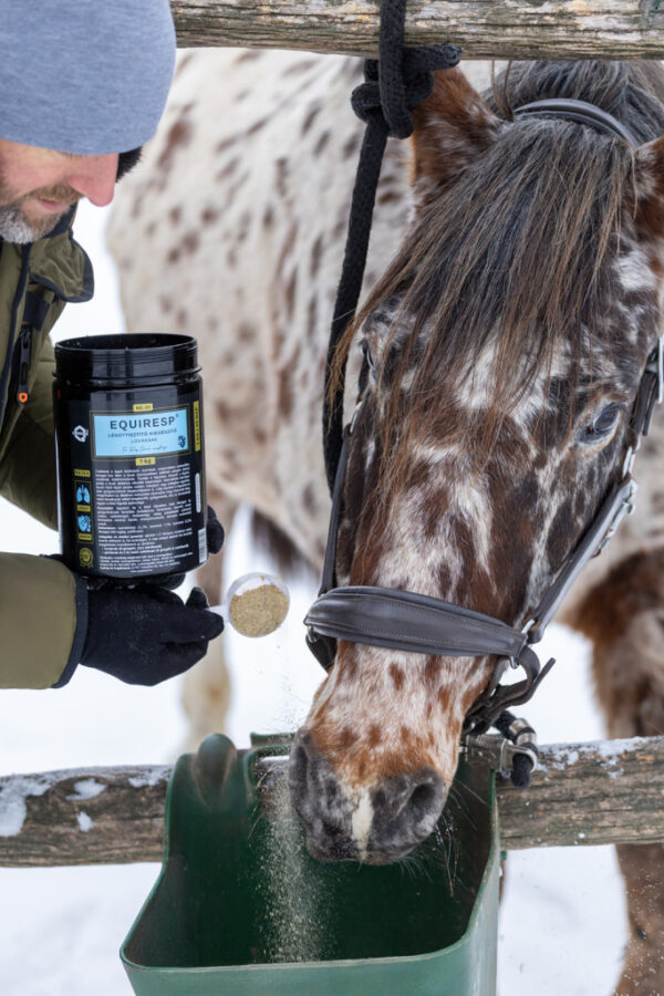 QUEBECK EQUIRESP légúttisztító kiegészítő takarmány lovaknak 1kg - Image 4