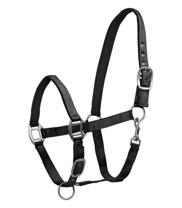 Waldhausen Kötőfék SATIN fekete