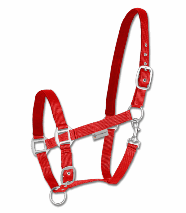 Waldhausen Kötőfék SATIN piros