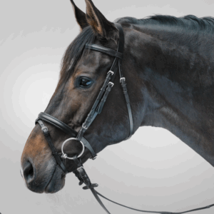 Waldhausen STAR kantár Lifestyle COB fekete 68047001-VB