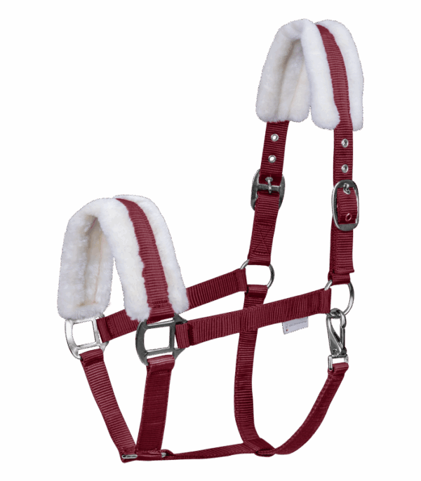 Waldhausen kötőfék FIRST Pony bordó 5051404-PON