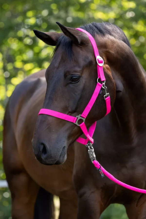 Hippo nylon kötőfék - rózsaszín