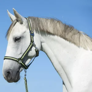 Hippo nylon kötőfék szürke/zöld