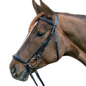 Waldhausen STAR T.Hannover Kantár COB  813801